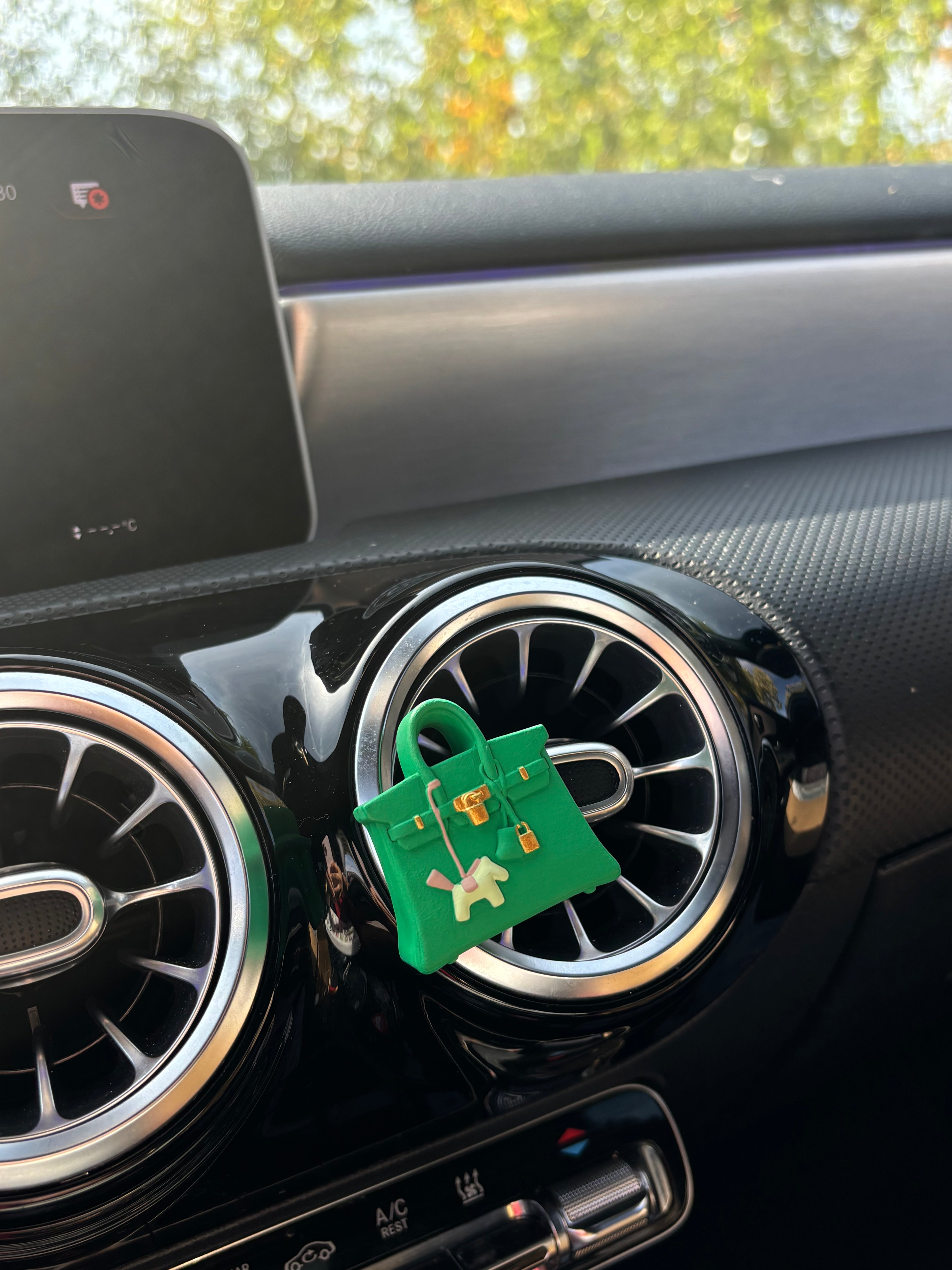 Car Diffuser Bag - Green